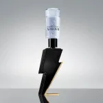 Bad Boy toaletna voda za moške 100 ml