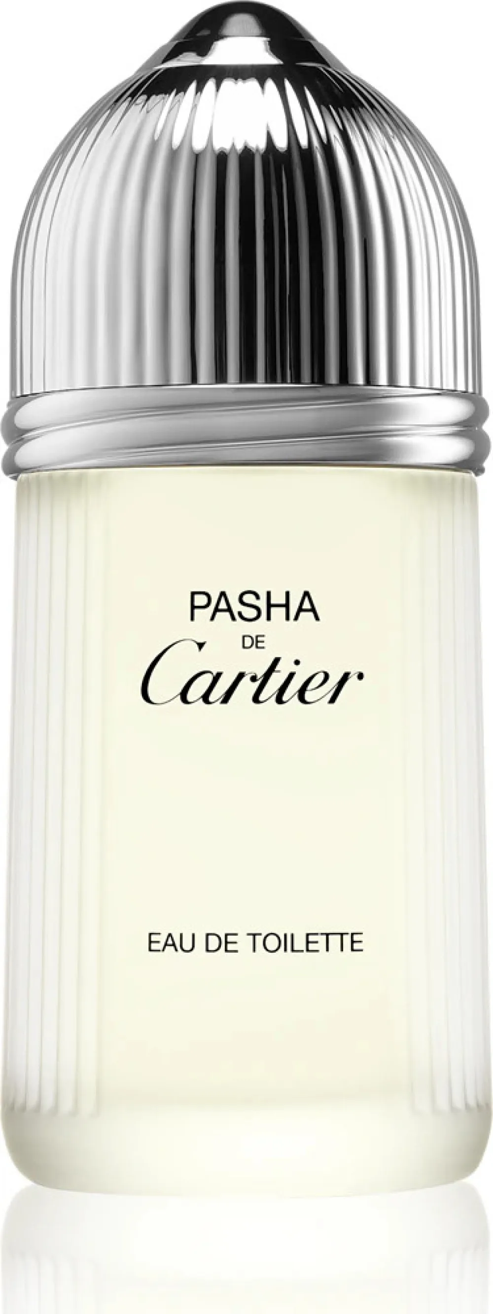 Pasha de Cartier toaletna voda za moške 100 ml