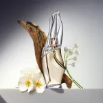 Cashmere Mist toaletna voda za ženske 100 ml