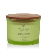 Dišeča sveča Chesapeake Bay Awaken + Invigorate s 3 stenji 312 g