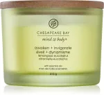 Dišeča sveča Chesapeake Bay Awaken + Invigorate s 3 stenji 312 g