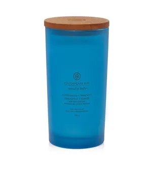 Chesapeake Bay Confidence + Freedom dišeča sveča 355 g