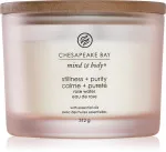 Dišeča sveča Chesapeake Bay Stillness + Purity s 3 stenji 312 g