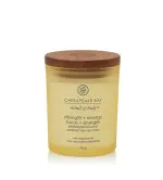 Chesapeake Bay Strength + Energy Pineapple Coconut odišna sveča 96 g