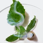 Aromatics Elixir parfumska voda 100 ml za ženske