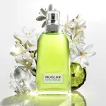 Cologne Come Together toaletna voda uniseks 100 ml