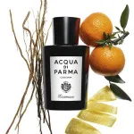 Colonia Essenza kolonjska voda za moške 180 ml