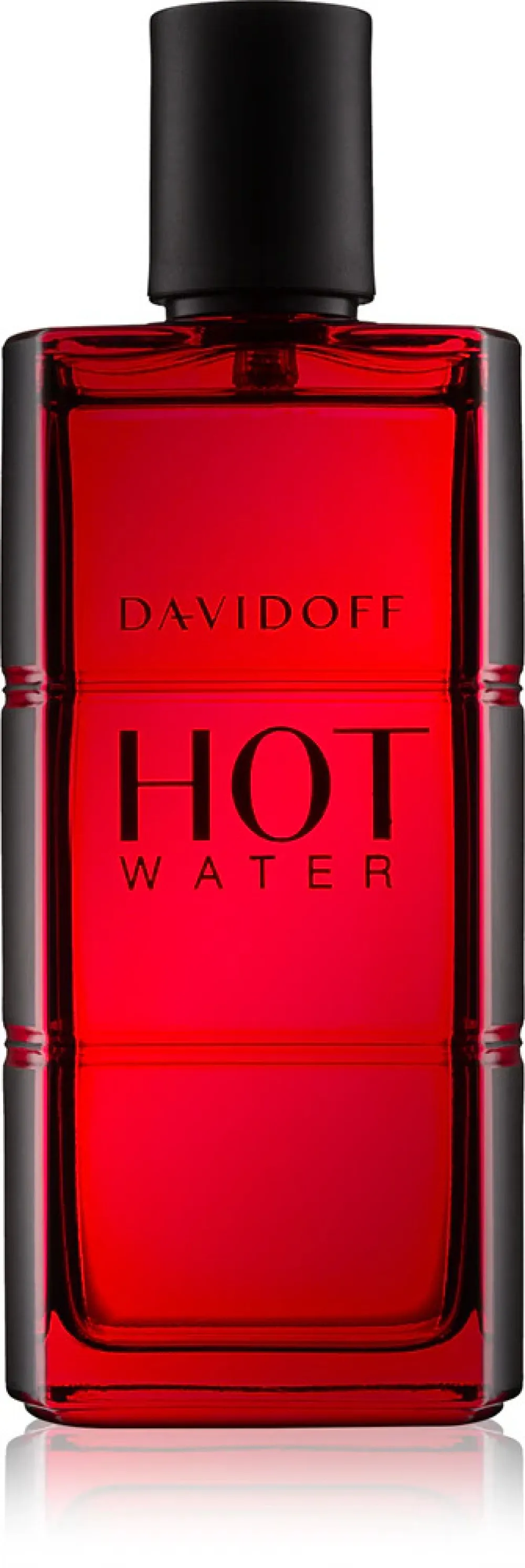 Hot Water toaletna voda za moške 110 ml