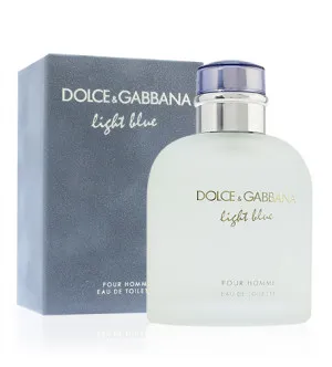Dolce & Gabbana Light Blue Pour Homme toaletna voda za moške 125 ml