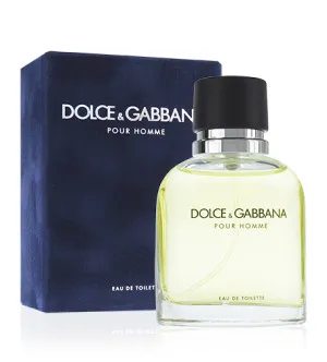 Dolce & Gabbana Pour Homme toaletna voda za moške 200 ml