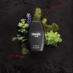 Drakkar Noir toaletna voda za moške 50 ml