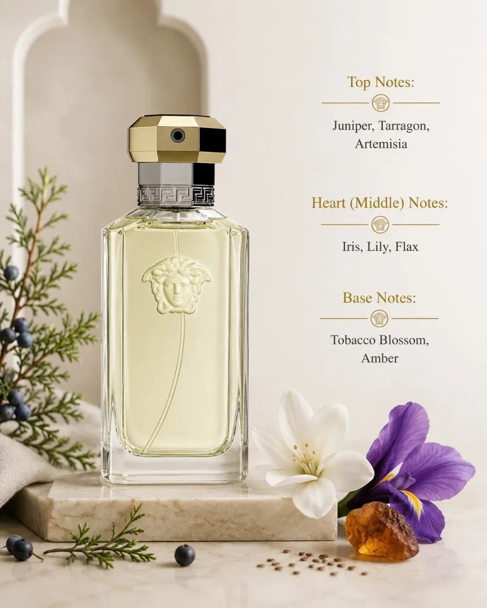 Dreamer toaletna voda za moške 50 ml