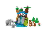 DUPLO® 10446 Družine divjih živali 3 v 1