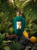 Voux Alma Verde U parfumska voda 100 ml