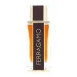 Spicy Leather parfumirana voda za moške 100 ml