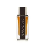 Spicy Leather parfumirana voda za moške 100 ml