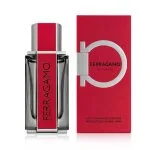 Red Leather parfumska voda za moške 50 ml