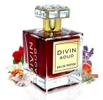 Divin Aoud parfumska voda unisex 100 ml
