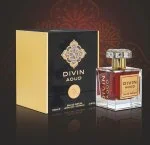 Divin Aoud parfumska voda unisex 100 ml