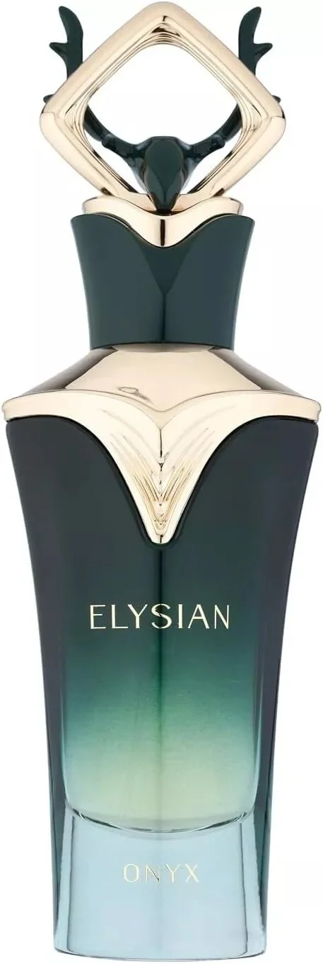 Elysian Onyx M parfumska voda 100 ml