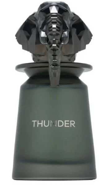 Thunder U parfumska voda 100 ml