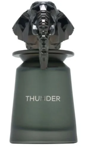 French Avenue Thunder U parfumska voda
