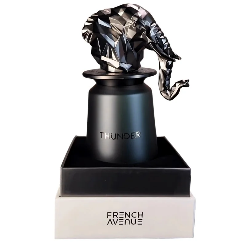 Thunder U parfumska voda 100 ml
