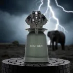 Thunder U parfumska voda 100 ml
