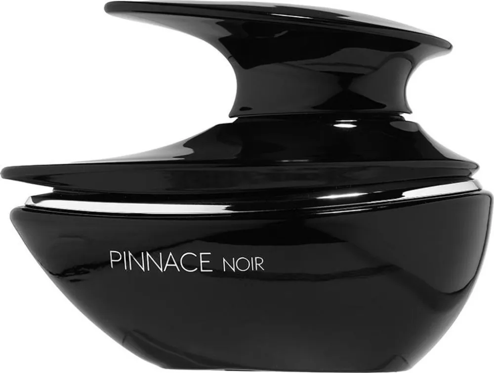 Pinnace Noir parfumska voda za moške 100 ml