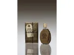 Fuel For Life toaletna voda za moške 50 ml