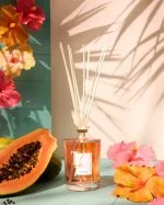 Škatla Papaja Hibiskus Palčke 1500 ml Prozorna Vaza - Tfu