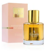 Ambassador For Women parfumska voda za ženske 50 ml
