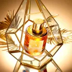 Ambassador For Women parfumska voda za ženske 50 ml