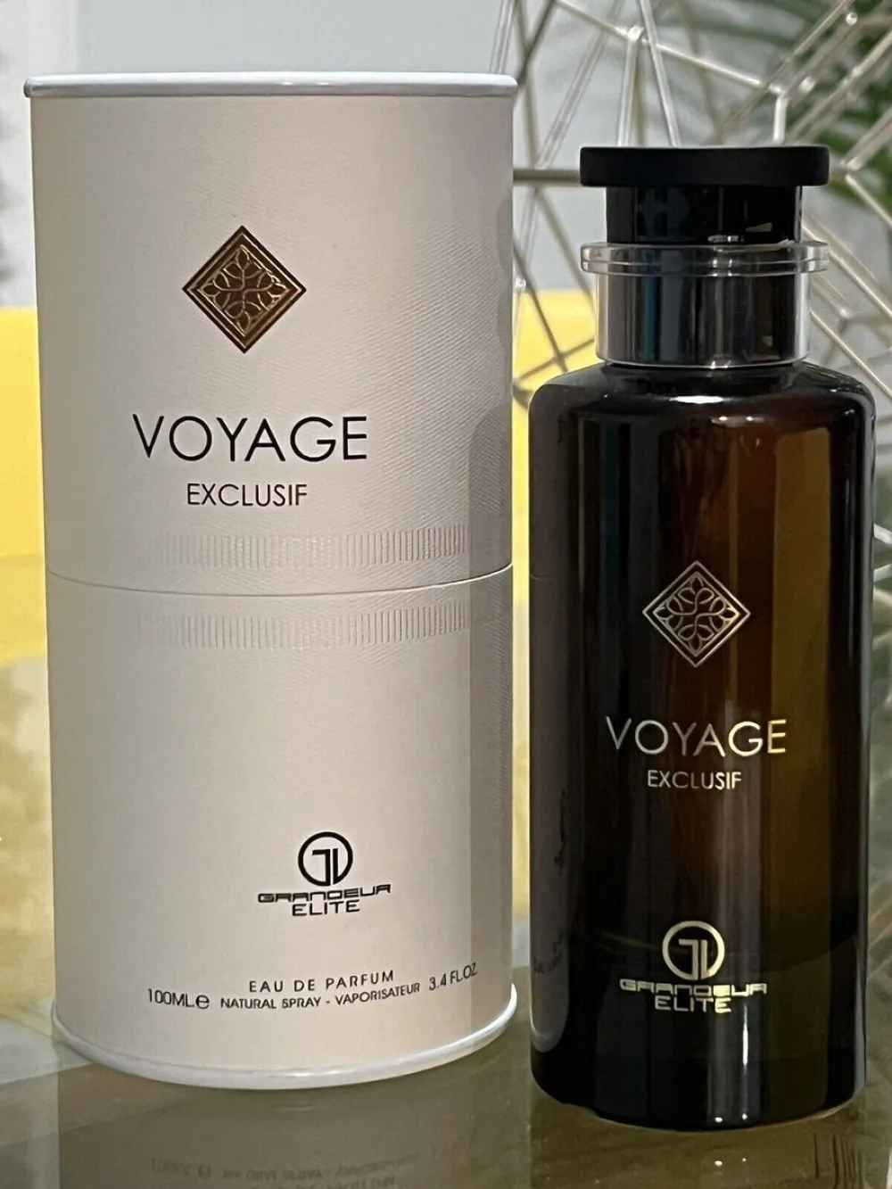 Voyage Exclusif parfumska voda unisex 100 ml