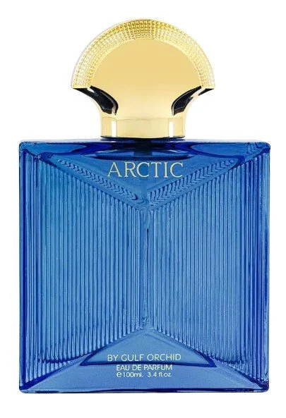 Arctic U parfumska voda 100 ml