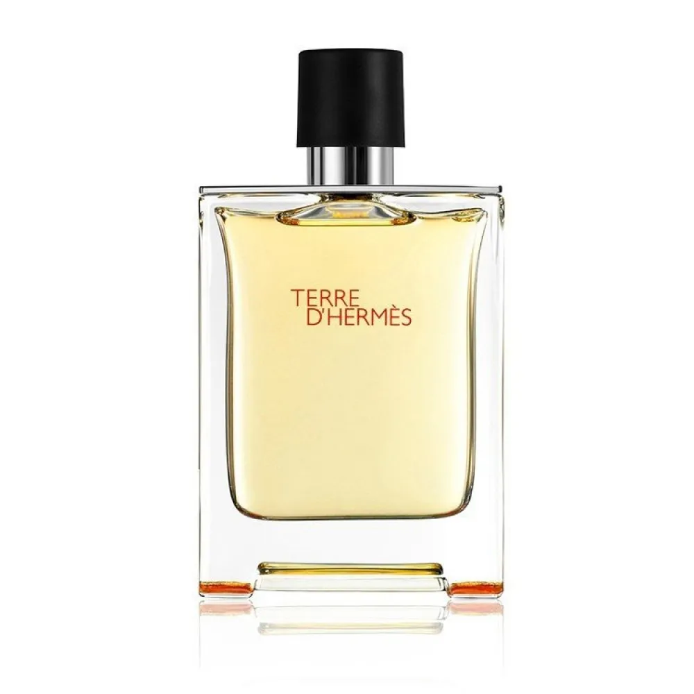 Terre d'Hermes Parfum parfum za moške 75 ml