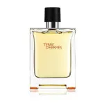 Terre d'Hermes Parfum parfum za moške 75 ml