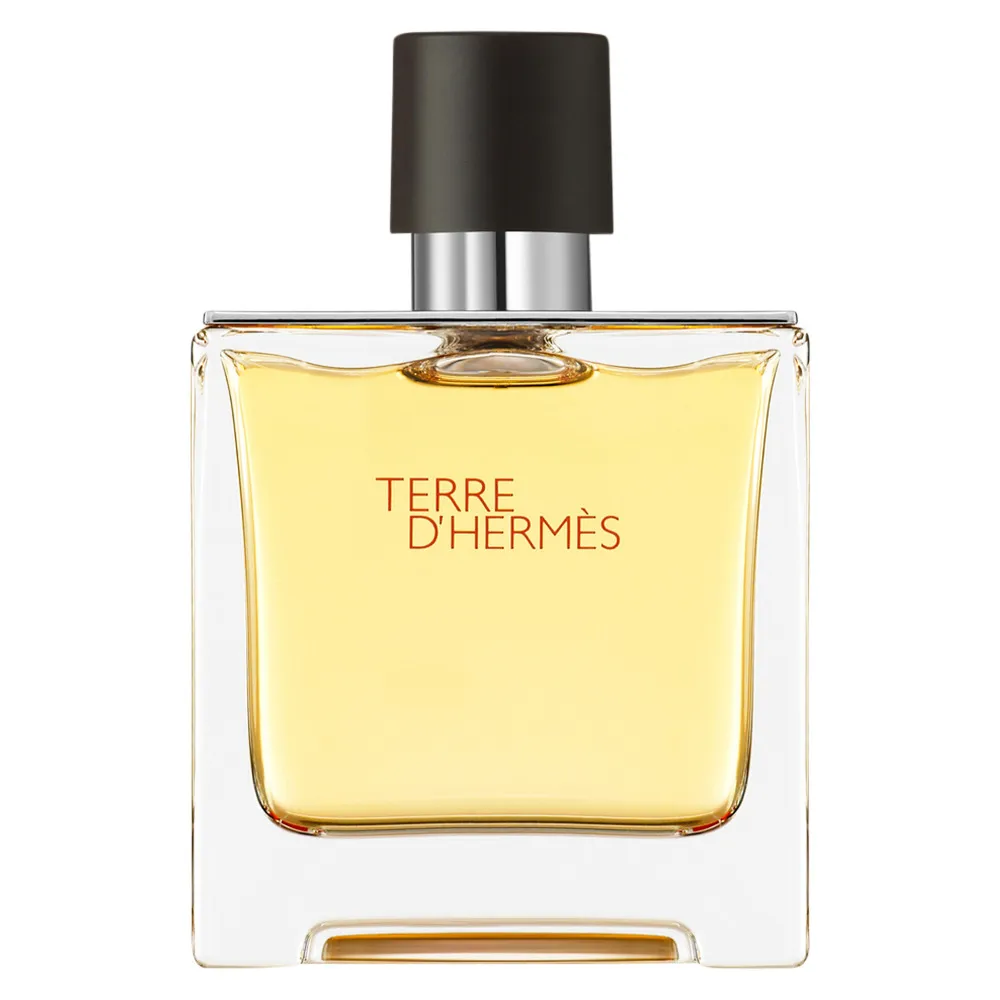 Terre d'Hermes Parfum parfum za moške 75 ml