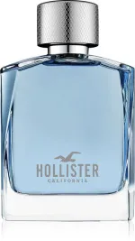 Wave For Him toaletna voda 100 ml za moške