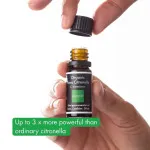Incognito Eterično olje citronele BIO (10 ml) - ne diši po težavnih žuželkah