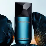 Fusion D'Issey toaletna voda 100 ml za moške