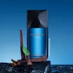 Fusion D'Issey toaletna voda 100 ml za moške