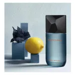 Fusion D'Issey toaletna voda 100 ml za moške