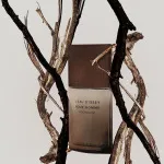 L'Eau d'Issey Pour Homme Wood&Wood parfumska voda za moške 100 ml