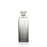 Power toaletna voda za moške 75 ml