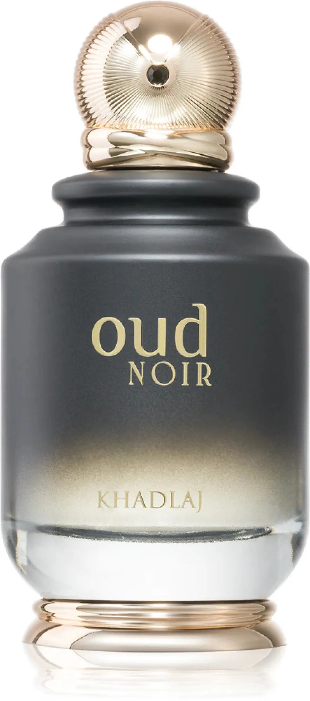 Oud Noir parfumska voda unisex 100 ml