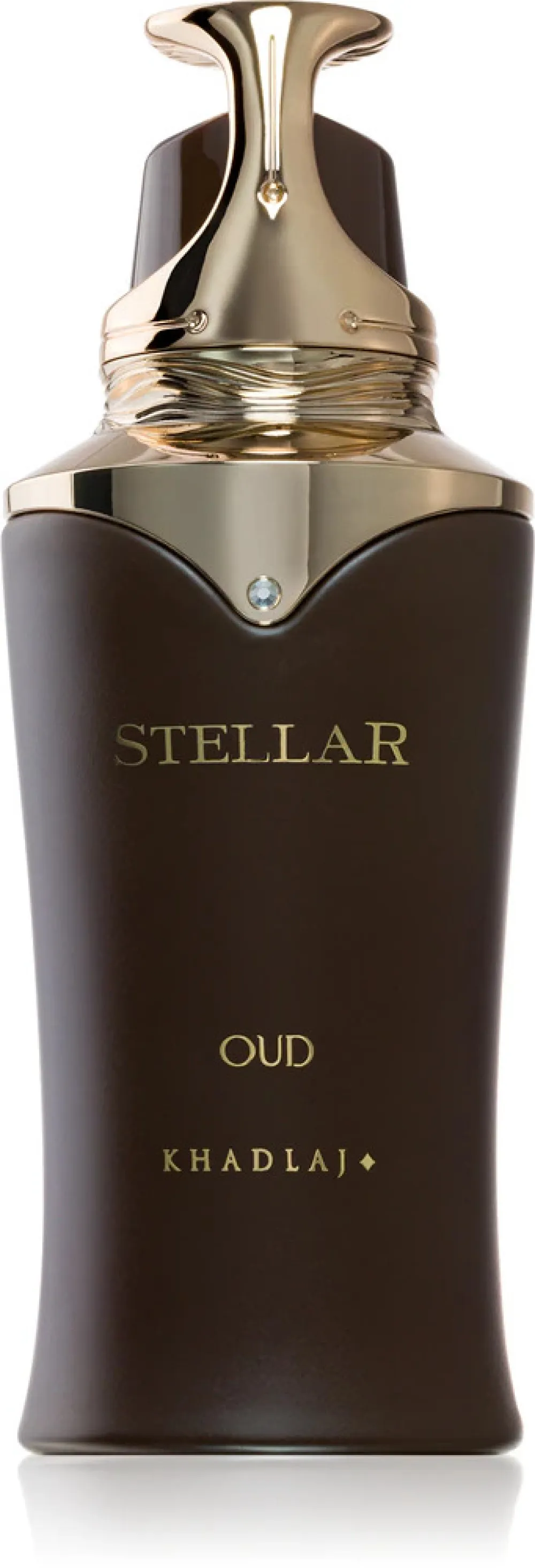 Stellar Oud parfumska voda uniseks 100 ml