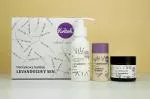 Kvitok Darilni paket Lavender Dream - prha, dezodorant in krema za telo