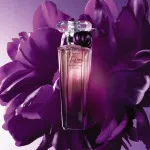 Trésor Midnight Rose parfumska voda za ženske 50 ml