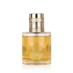 Fire On Ice parfumska voda unisex 110 ml